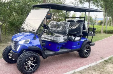 DLT Electric Golf Cart - Model E