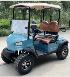 DLT Electric Golf Cart - Model B