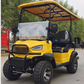 DLT Electric Golf Cart - Model B