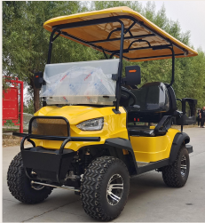 DLT Electric Golf Cart - Model B