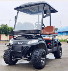 DLT Electric Golf Cart - Model C