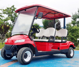 DLT Electric Golf Cart - Model C