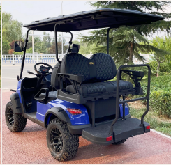 DLT Electric Golf Cart - Model D