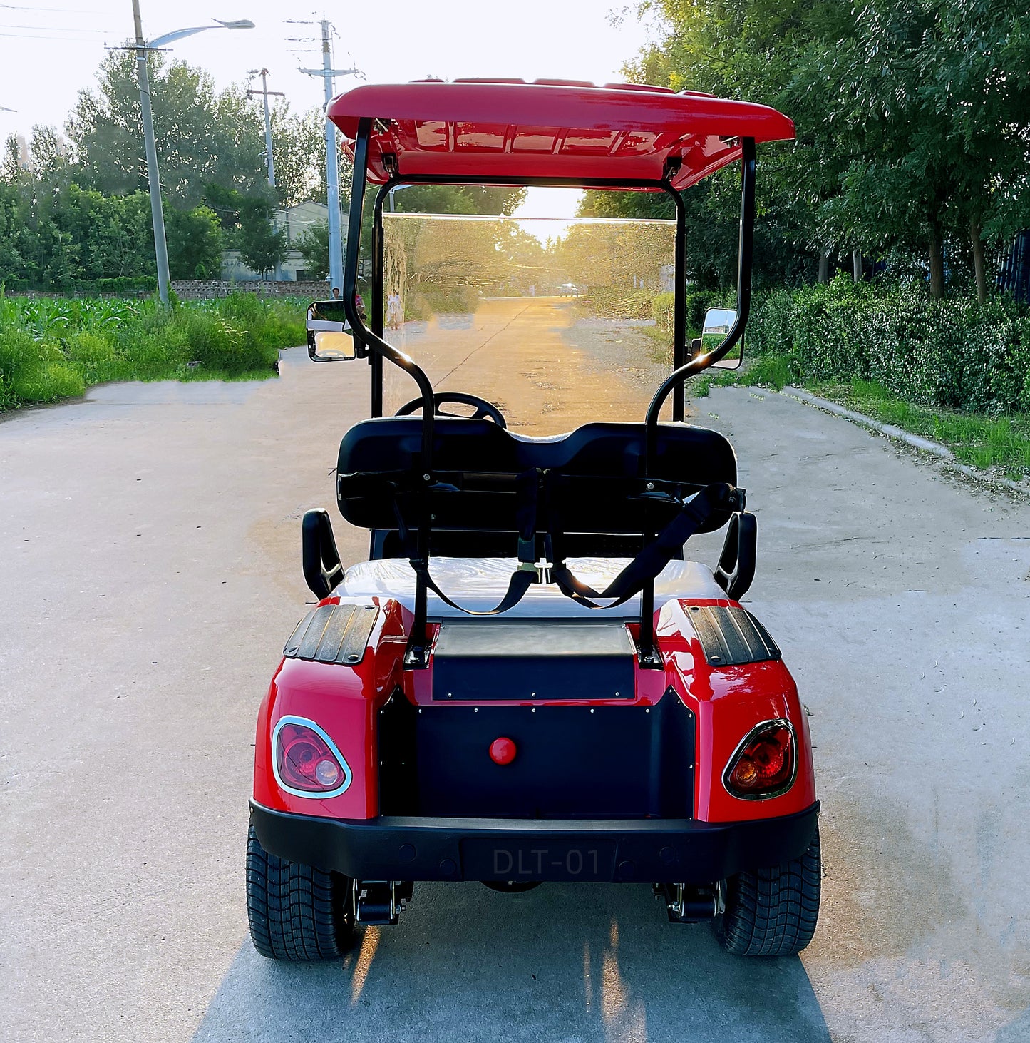 DLT Electric Golf Cart - Model A