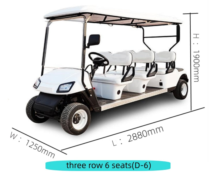 DLT Electric Golf Cart - Model A