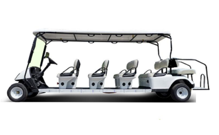 DLT Electric Golf Cart - Model A