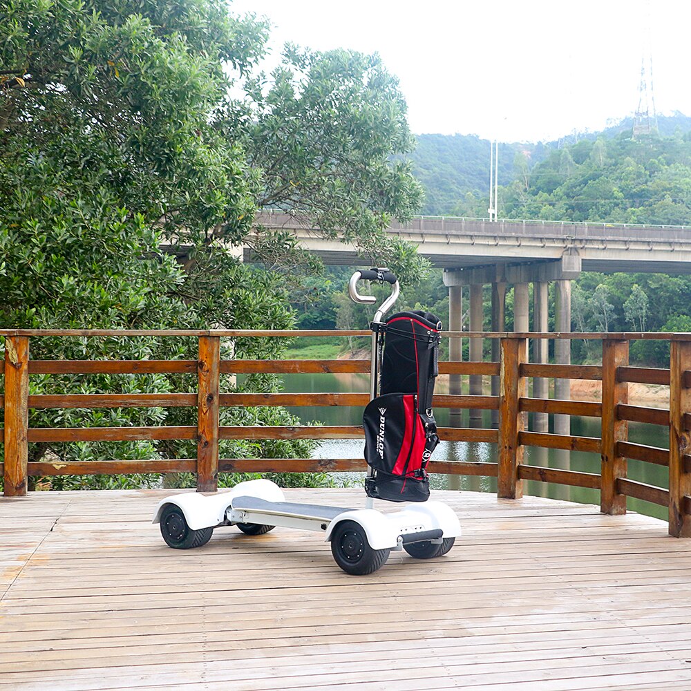 BoleRider Golf E-Skateboard