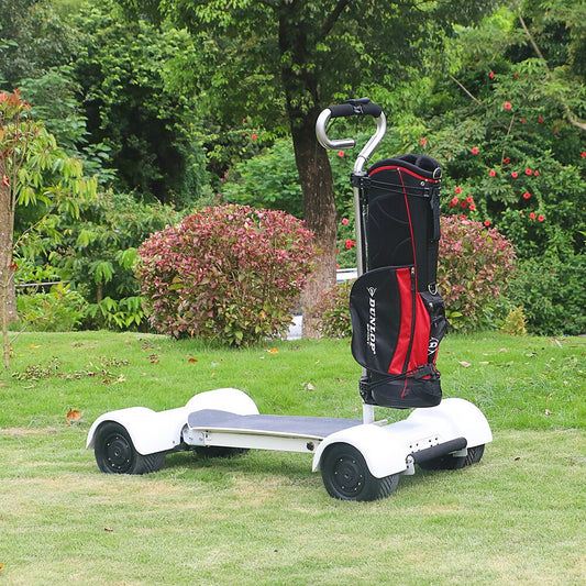 BoleRider Golf E-Skateboard